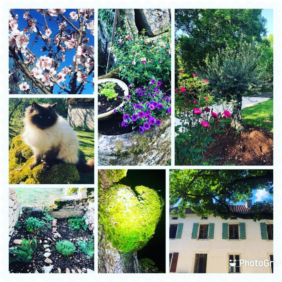 Mas D'Aubrac Limogne-en-Quercy Exterior foto