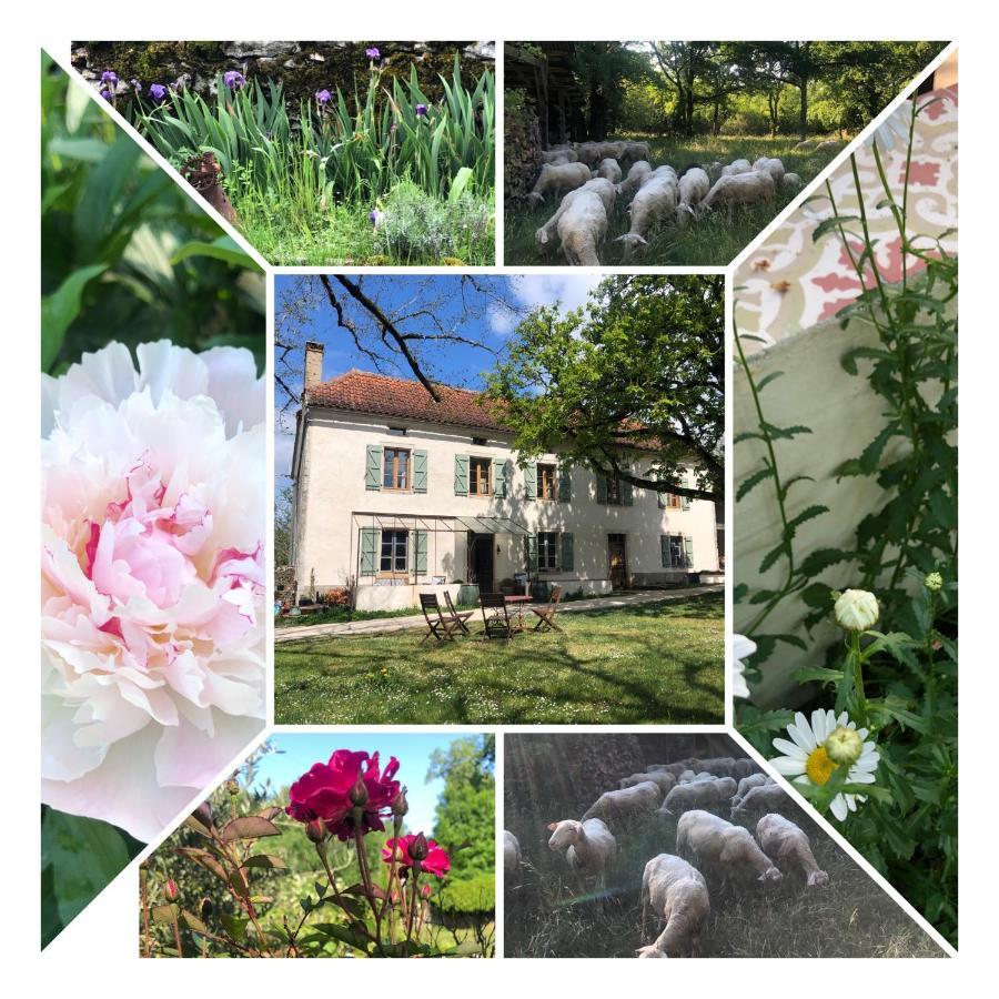Mas D'Aubrac Limogne-en-Quercy Exterior foto