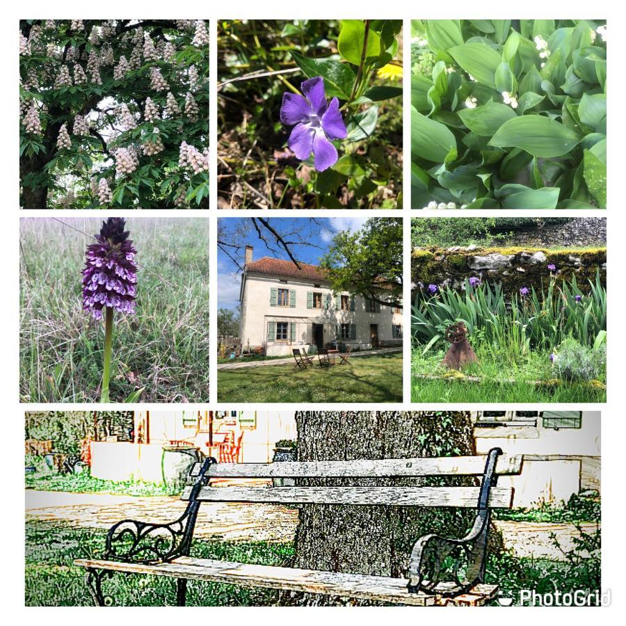 Mas D'Aubrac Limogne-en-Quercy Exterior foto